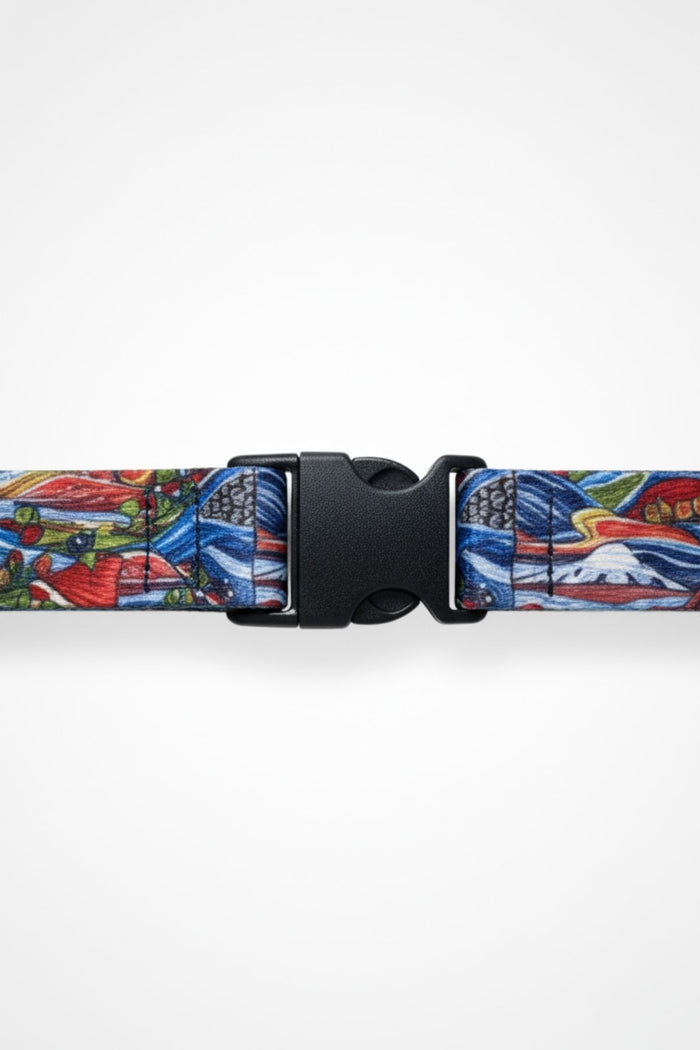 Colorful belt with a buckle on a white background