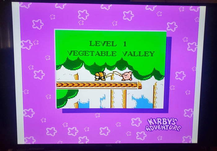 Kirby's Adventure NES Video Game Nintendo Entertainment System 1993